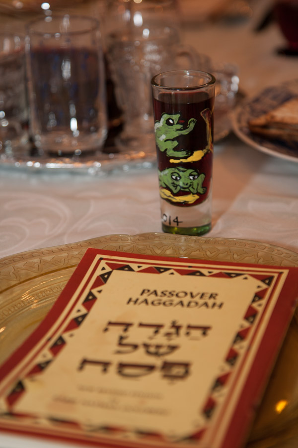 Click to return to grid view of the "- Family -" gallery "Passover 2014 @ Joey & Jenny’s"