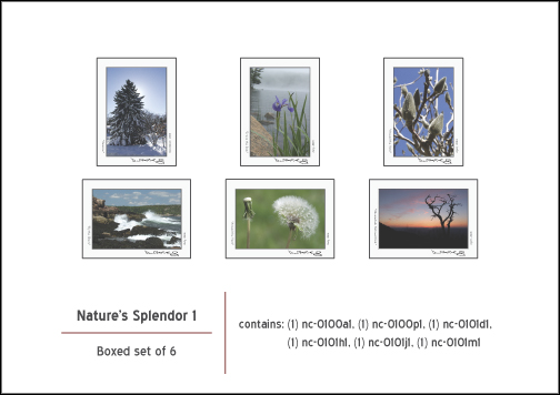 Click to return to grid view of the "- Images Move Products -" gallery "Assorted Boxed Notecards"